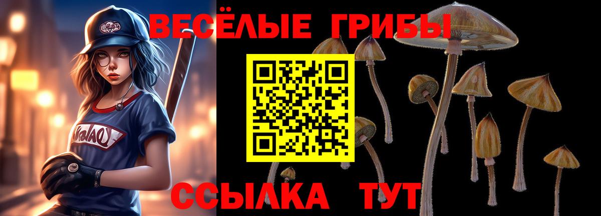 Галлюциногенные грибы мицелий  купить наркотики цена  Калач-на-Дону  Вход с VPN  Псилоцибиновые грибы прущие грибы 
